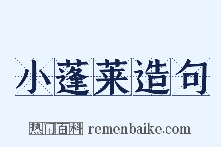 小蓬莱造句是什么意思的图片